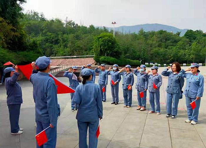 杨氏太极拳24式视频，传承与学习的完美结合