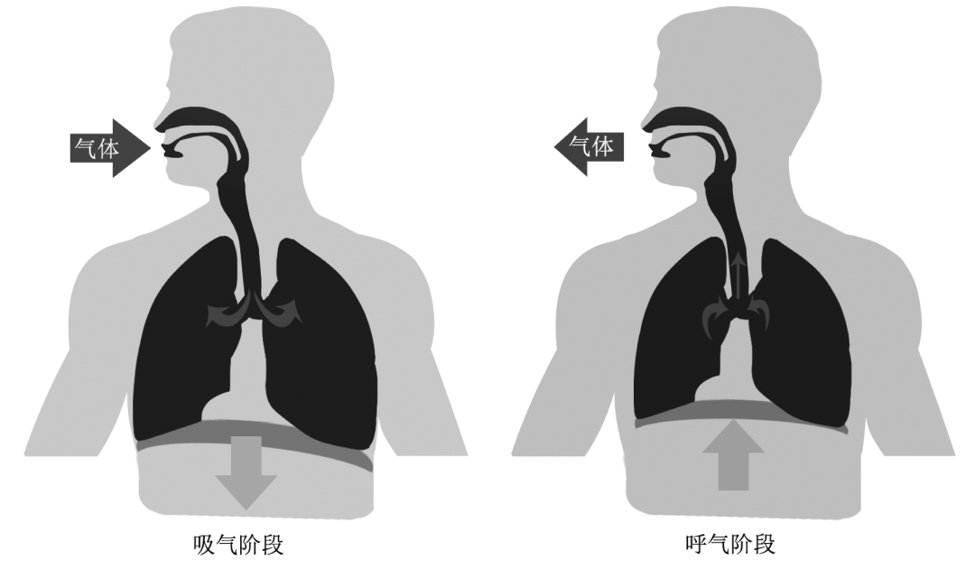 呼吸空气是否犯法，对公众常识与法律的探讨